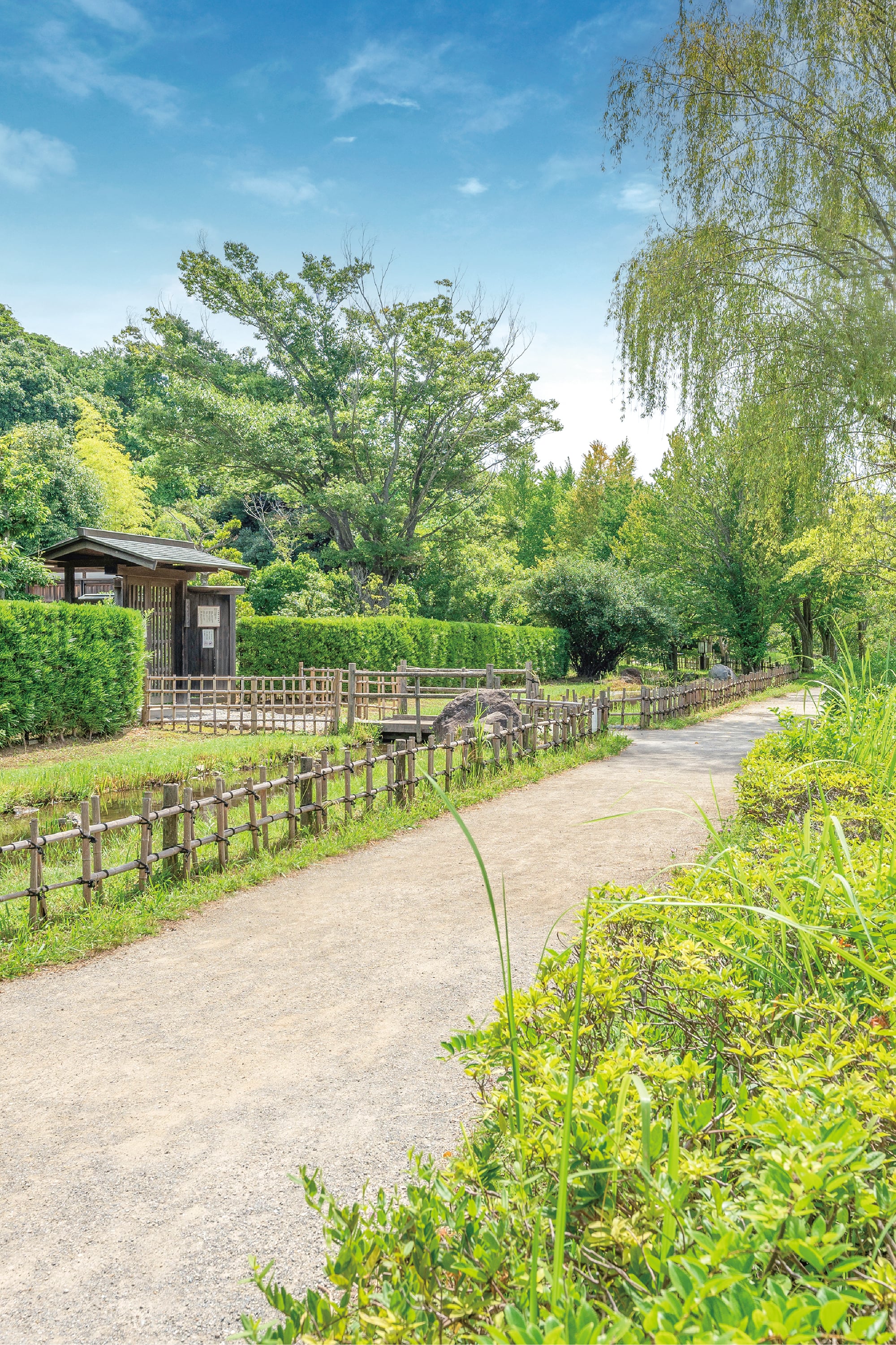 実籾本郷公園