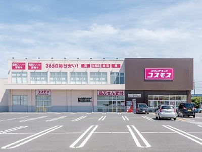 ドラッグストア コスモス 作新台店